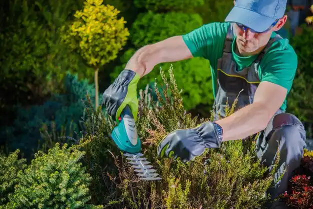 landscaping services South Charleston